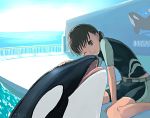  1girl brown_eyes brown_hair kimidorin kneeling ocean orca original railing sky smile teeth tongue water whale 