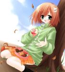  00s 1girl autumn_leaves black_legwear brown_hair canvas clouds dutch_angle green_eyes hair_ornament obentou open_mouth sakurazawa_izumi short_hair sitting socks solo tachibana_amane tako-san_wiener tree wariza 