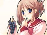  1girl eating folded_ponytail food fruit grapes holding holding_fruit jirou_(chekoro) komaki_manaka school_uniform serafuku solo to_heart_2 