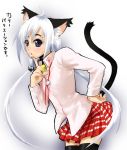  animal_ears cat_ears cat_tail miniskirt skirt tail takano_saki thigh-highs zettai_ryouiki 