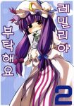  1girl blush female hat konpaku_youmu korean long_hair patchouli_knowledge purple_hair ribbon solo touhou violet_eyes zepher_(makegumi_club) 