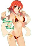  1girl bikini breasts kusanagi_tonbo large_breasts orange_hair original scarf short_hair solo swimsuit yellow_eyes 