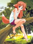  00s 1girl animal_ears arf bandaid bare_arms barefoot blue_eyes blurry depth_of_field dog_ears dog_tail facial_mark feet forehead_jewel forehead_mark from_side full_body in_tree knee_up looking_at_viewer lyrical_nanoha mahou_shoujo_lyrical_nanoha redhead short_shorts shorts sitting sitting_in_tree smile solo tail tank_top toes tree umekichi 