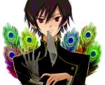 1boy black_hair code_geass gloves lelouch_lamperouge looking_at_viewer male_focus mouth_hold peacock_feathers poo_(donkan_gokko) red_eyes school_uniform solo uniform upper_body white_background 