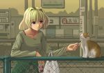  1girl animal bag bangs blonde_hair bra_strap can cat chair closed_mouth earrings eyebrows eyebrows_visible_through_hair fence hair_intakes jewelry long_sleeves looking_away lyrical_nanoha mahou_shoujo_lyrical_nanoha mahou_shoujo_lyrical_nanoha_a&#039;s nakayama_yukiji outdoors petting plastic_bag pole shamal short_hair signpost smile soda_can solo train_station tree upper_body vending_machine violet_eyes 