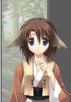  1girl androgynous animal_ears blue_eyes brown_hair forest game_cg hongfire_is_down japanese_clothes kimono long_sleeves looking_at_viewer nature outdoors plant sash short_hair solo tree upper_body utawareru_mono wide_sleeves 