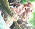  1girl animal_ears barefoot bell brown_eyes brown_hair cat_ears cat_tail dutch_angle feet in_tree jingle_bell leaf long_hair nature original outdoors ribbon river sitting sitting_in_tree solo tail tail_bell tree v_arms water yamamoto_nori 