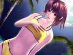  3d :d bikini blush brown_eyes brown_hair flat_chest full_moon lipstick makeup moon navel night night_sky open_mouth outdoors palm_tree ponytail sexy_beach sexy_beach_2 sky smile standing swimsuit tree uesugi_reona wallpaper water watermark wet 