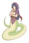  1girl blue_eyes blue_hair breasts breath_of_fire breath_of_fire_i breath_of_fire_ii cape cleavage deis hood lamia long_hair medium_breasts monster_girl ominuma scales solo 