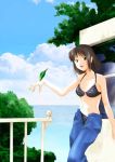  1girl bikini bikini_top black_hair bra brown_hair clouds green_eyes jpeg_artifacts lingerie lowres navel ocean open_mouth original pants short_hair sky smile solo standing swimsuit takamuu_(pamo) tree underwear unzipped water window 