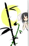  1girl animal_ears bamboo black_hair blush carrot carrot_necklace crescent_moon dress female finger_to_mouth inaba_tewi looking_at_viewer moon nasubi peeking_out rabbit_ears red_eyes short_hair short_sleeves silver_hair simple_background sketch solo touhou white_background 
