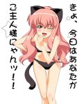  1girl a1 animal_ears cat_ears cat_tail louise_francoise_le_blanc_de_la_valliere panties simple_background solo tail text translated underwear zero_no_tsukaima 