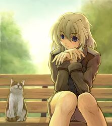  1girl :3 bench blonde_hair cat earrings jewelry lyrical_nanoha mahou_shoujo_lyrical_nanoha mahou_shoujo_lyrical_nanoha_a&#039;s mahou_shoujo_lyrical_nanoha_strikers nakayama_yukiji shamal sitting violet_eyes 