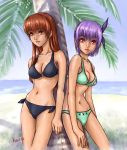  2girls ayane ayane_(doa) beach bikini dead_or_alive face ha-ru kasumi_(doa) multiple_girls nekoi_mie siblings side-tie_bikini sisters swimsuit tecmo 