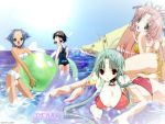  00s 4girls air_mattress antenna_hair ayu_(dears) ball beach beachball bikini blue_hair blush breasts brown_hair cleavage collar dears erect_nipples green_eyes highres innertube izumi_neneko large_breasts miu miu_(dears) multiple_girls pink_hair red_eyes ren_(dears) school_swimsuit swimsuit wallpaper 