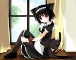  1girl animal_ears apron black_hair blush cat_ears cat_tail maid maid_apron red_eyes short_hair solo tail window 