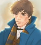  1boy bow bowtie brown_eyes brown_hair coat fantastic_beasts_and_where_to_find_them freckles male_focus newt_scamander portrait scarf yunzhi-zz 