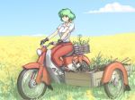  1girl belt blue_sky clouds driving earrings eyebrows_visible_through_hair field fingerless_gloves gloves grass green_hair ground_vehicle hater_(hatater) horizon jewelry kazami_yuuka looking_away motor_vehicle motorcycle outdoors pants plant potted_plant red_pants shirt short_hair sitting sky smile solo touhou white_shirt 