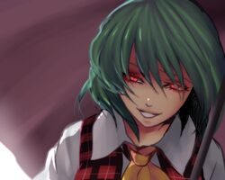  dress_shirt glowing glowing_eyes green_hair grin harano kazami_yuuka plaid_vest portrait red_eyes shaded_face shirt short_hair smile solo touhou umbrella 