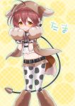  ahoge animal_costume belt blush brown_eyes brown_hair brown_shorts character_name closed_mouth collar dog_costume eyebrows_visible_through_hair groin halftone knees_together_feet_apart leash magical_girl mahou_shoujo_ikusei_keikaku navel nose_blush okazaki_beru outline pantyhose paws short_hair short_shorts shorts standing tama_(mahoiku) wavy_mouth yellow_background 