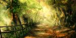  dappled_sunlight day fence forest landscape morning nature no_humans outdoors renevatia road scenery sunlight tree 
