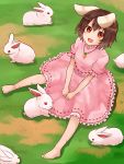  1girl :3 animal animal_ears barefoot black_hair blush carrot_necklace clover dress four-leaf_clover grass highres inaba_tewi inamori_(inari00000) looking_at_viewer open_mouth pink_dress puffy_short_sleeves puffy_sleeves rabbit rabbit_ears red_eyes short_hair short_sleeves sitting solo touhou 