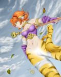  1girl animal_ears breath_of_fire breath_of_fire_ii cat_ears cat_tail facial_mark green_eyes highres leaf rinpoo_chuan staff tail 