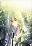  1boy androgynous artist_name bangs colored_eyelashes commentary_request enkidu_(fate/strange_fake) eyebrows_visible_through_hair eyelashes fate/strange_fake fate_(series) green green_eyes green_hair hair_between_eyes light_particles light_smile long_hair looking_down male_focus parted_lips pepper_fever plant robe sad solo upper_body water_drop yellow_eyes 
