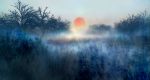  00 bare_tree blurry fog grass highres nature no_humans original scenery sky sun sunset tree winter 