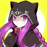  1girl animal_hood braid cape cat_hood collar dog_collar fate/grand_order fate_(series) hood long_hair looking_at_viewer medusa_(lancer)_(fate) ni1ten_xx00 portrait purple_hair rider solo violet_eyes 