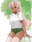  1girl buruma dark_elf dark_skin elf green_buruma gym_uniform long_hair looking_at_viewer original pink_hair pointy_ears railing sitting sitting_on_railing smile solo tagme tamatama_(nekokalpis) thigh-highs white_legwear yellow_eyes 