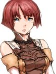  blue_eyes bust detached_sleeves face humio red_hair redhead shirokishi_monogatari short_hair white_knight_chronicles yulie 