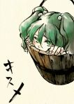  girl_in_bucket green_eyes green_hair hands in_bucket in_container kee_(pixiv292778) kisume shou_shishi touhou twintails 