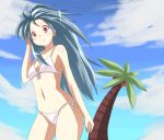  bikini blue_hair long_hair palm_tree red_eyes swimsuit torotsukii tree 
