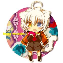  animal_ears blush cat_ears cat_tail chibi crossdressinging fang heterochromia kamiyoshi natoto-kun original scarf short_hair tail thoto trap valentine 