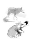  cat dog greyscale hands highres monochrome original out_of_frame petting shadow tokki 