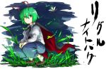  1girl antennae black_cape blue_pants bobby_socks brown_shoes cape character_name dress_shirt fireflies full_body grass green_eyes green_hair highres juliet_sleeves kan_(aaaaari35) long_sleeves looking_at_viewer pants parted_lips puffy_sleeves shirt shoes short_hair socks solo squatting touhou triangle_mouth white_legwear white_shirt wriggle_nightbug 