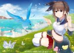  1girl akky_(akimi1127) bird blue_eyes breasts brown_hair cliff crystal fantasy happy_new_year highres midriff navel new_year ocean original short_hair thigh-highs v white_legwear 