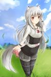  1girl animal_ears black_legwear clouds grass highres long_hair misu_t_(ccc) myuri_(spice_and_wolf) outdoors pantyhose pantyhose_under_shorts red_eyes shinsetsu_spice_and_wolf shirt shorts silver_hair sky smile solo spice_and_wolf tail very_long_hair wind wolf_ears wolf_tail 