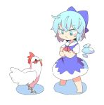  1girl barefoot bird blue_dress blue_eyes blue_hair chicken cirno crossed_arms dress hair_between_eyes ice ice_wings looking_at_another moyazou_(kitaguni_moyashi_seizoujo) puffy_short_sleeves puffy_sleeves rooster short_hair short_sleeves standing touhou wings 