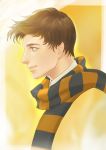  1boy blue_eyes brown_hair fantastic_beasts_and_where_to_find_them freckles newt_scamander portrait scarf solo yunzhi-zz 