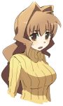  1girl breasts brown_hair highres jinguuji_marimo large_breasts looking_at_viewer muvluv open_mouth simple_background sweater tagme u-ka_(pixiv5407) 