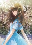  1girl :d blue_dress brown_eyes brown_hair dress floral_background flower fly_333 hair_over_eyes leaf looking_at_viewer looking_to_the_side open_mouth original sash short_sleeves smile solo standing 