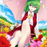  1girl album_cover ascot cover din_(flypaper) dutch_angle field flower flower_field green_hair kazami_yuuka long_sleeves parasol plaid plaid_skirt plaid_vest red_eyes shirt short_hair skirt skirt_set sky solo touhou umbrella vest 