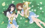  2girls bare_legs barefoot black_hair blue_skirt brown_eyes brown_hair euphonium female flower friends grass greco hand_holding hibike!_euphonium highres holding holding_instrument instrument kousaka_reina legs long_hair looking_at_viewer lying multiple_girls musical_instrument mutual_yuri on_back on_side oumae_kumiko pleated_skirt school_uniform serafuku short_hair short_sleeves skirt trumpet violet_eyes yellow_eyes yuri 