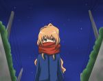  bad_id brown_eyes brown_hair gakei long_hair night power_lines scarf star stars toradora! 