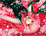  cherry_blossoms long_hair lying maguchimo petals pink_hair school_uniform sweater_vest vest 