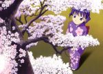  blue_eyes blue_hair cherry_blossoms from_above japanese_clothes sakuraba_aoi short_hair smile solo tree 