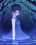  1girl black_hair blue_eyes dress long_hair noppi_(noppi_98) original partially_submerged solo standing water 