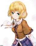  1girl arm_warmers bangs blonde_hair blush breasts closed_mouth cowboy_shot dyolf green_eyes looking_at_viewer medium_breasts mizuhashi_parsee pointy_ears sash scarf short_hair short_sleeves smile solo touhou upper_body white_scarf 